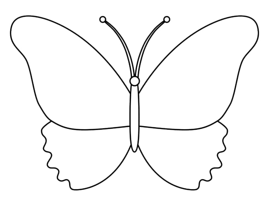 Butterfly Kids Drawing Coloring Pdf Free Vectors